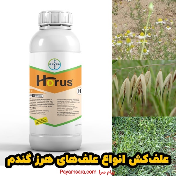 خرید عمده سم هوروس | قوی‌ترین علف‌کش گندم زمستانه