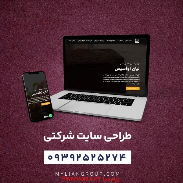 طراحی سایت شرکتی در بوشهر بصورت اقساط