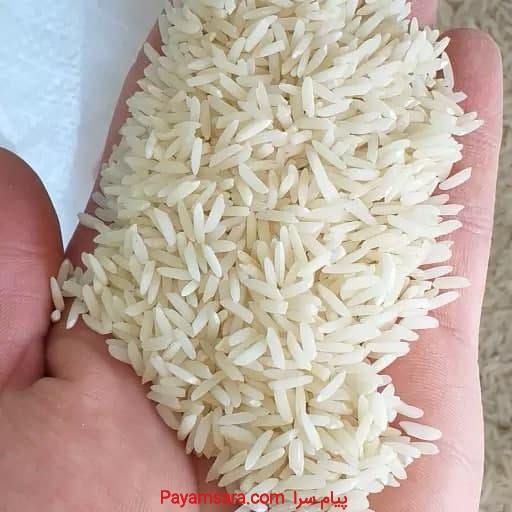 برنج هاشمی ممتاز آستانه اشرفیه
