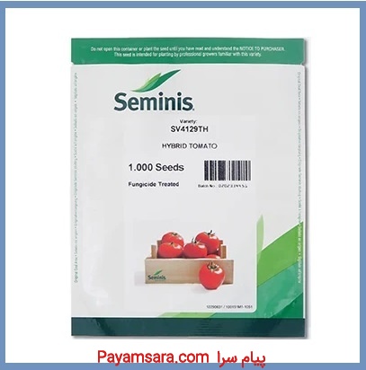 بذر گوجه گلخانه ای 4129 سمینیس ، فروش و ارسال