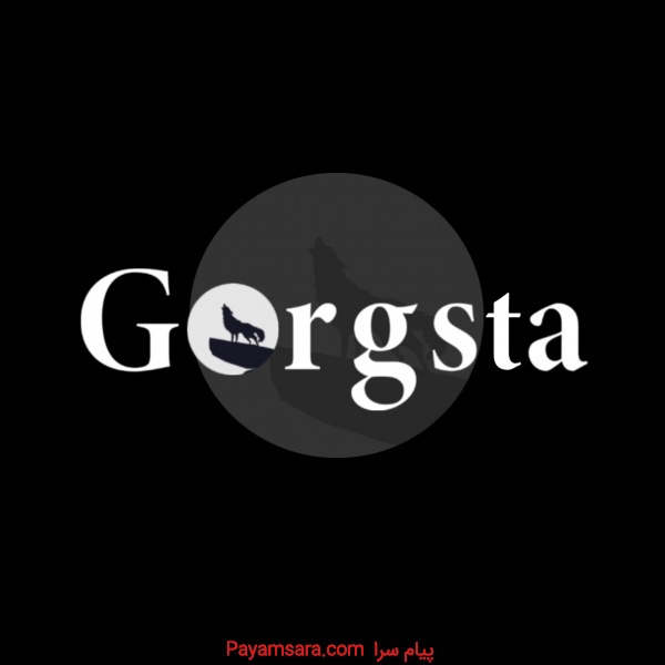 خدمات برنامه نویسی و طراحی سایت گرگستا