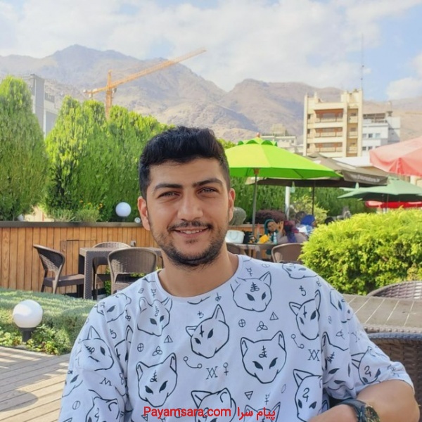 سئو و طراحی سایت