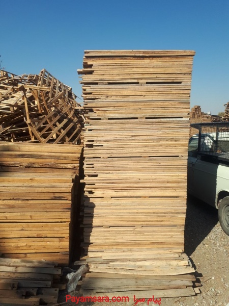 فروش چوب روسی و چوب کبود و چوب پالتی قیمت عالی
