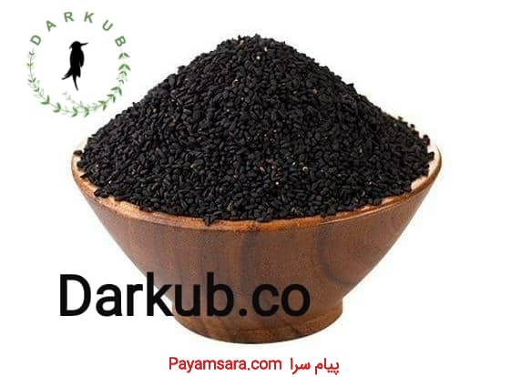 فروش سیاه دانه در شرکت دارکوب