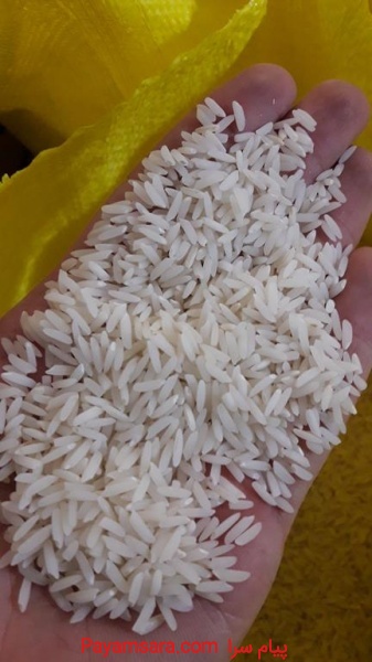 برنج هاشمی و دودی گیلان لاهیجان