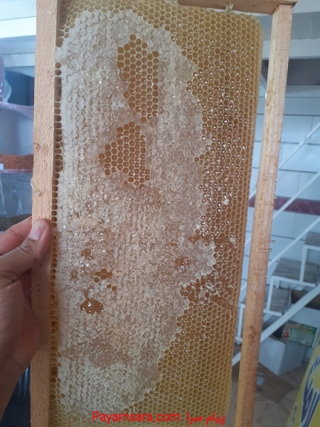 فروش عسل طبیعی و ارزان