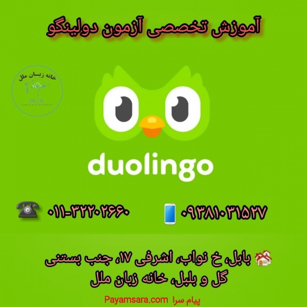آموزش تخصصی دولینگو در آموزشگاه زبان ملل بابل
