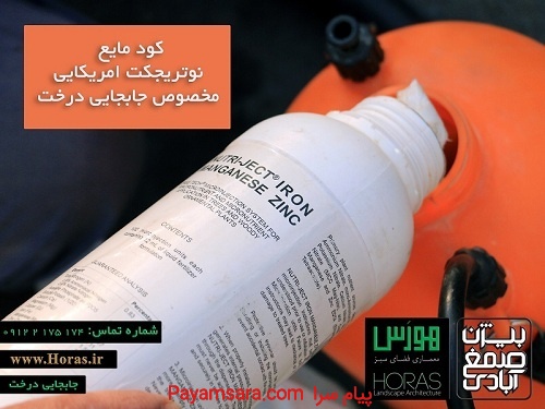تزریق کود مایع به تنه درخت