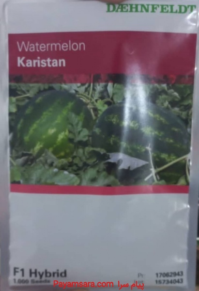 فروش بذر هندوانه زودرس کاریستان